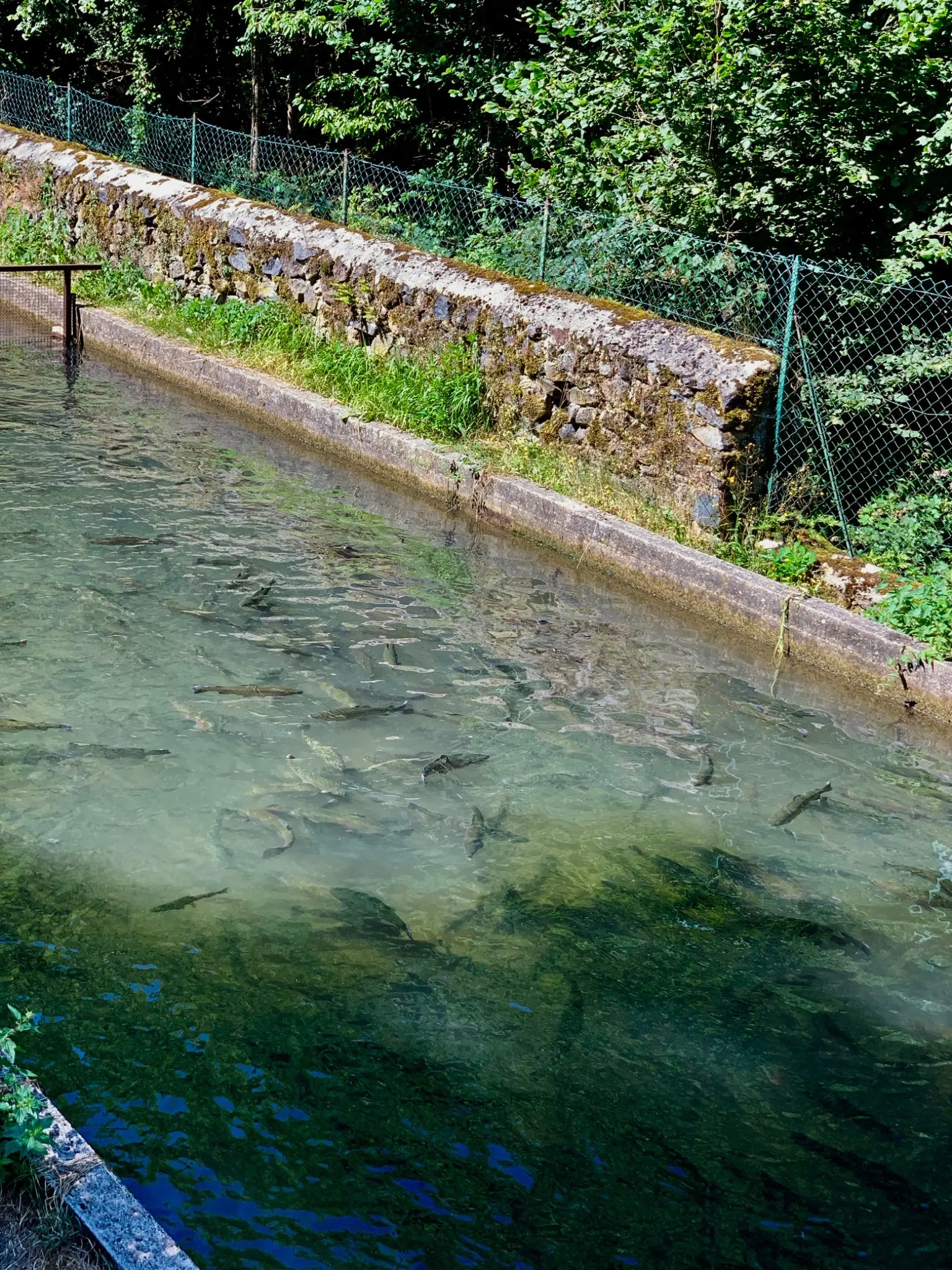 Bassins du Vourzac