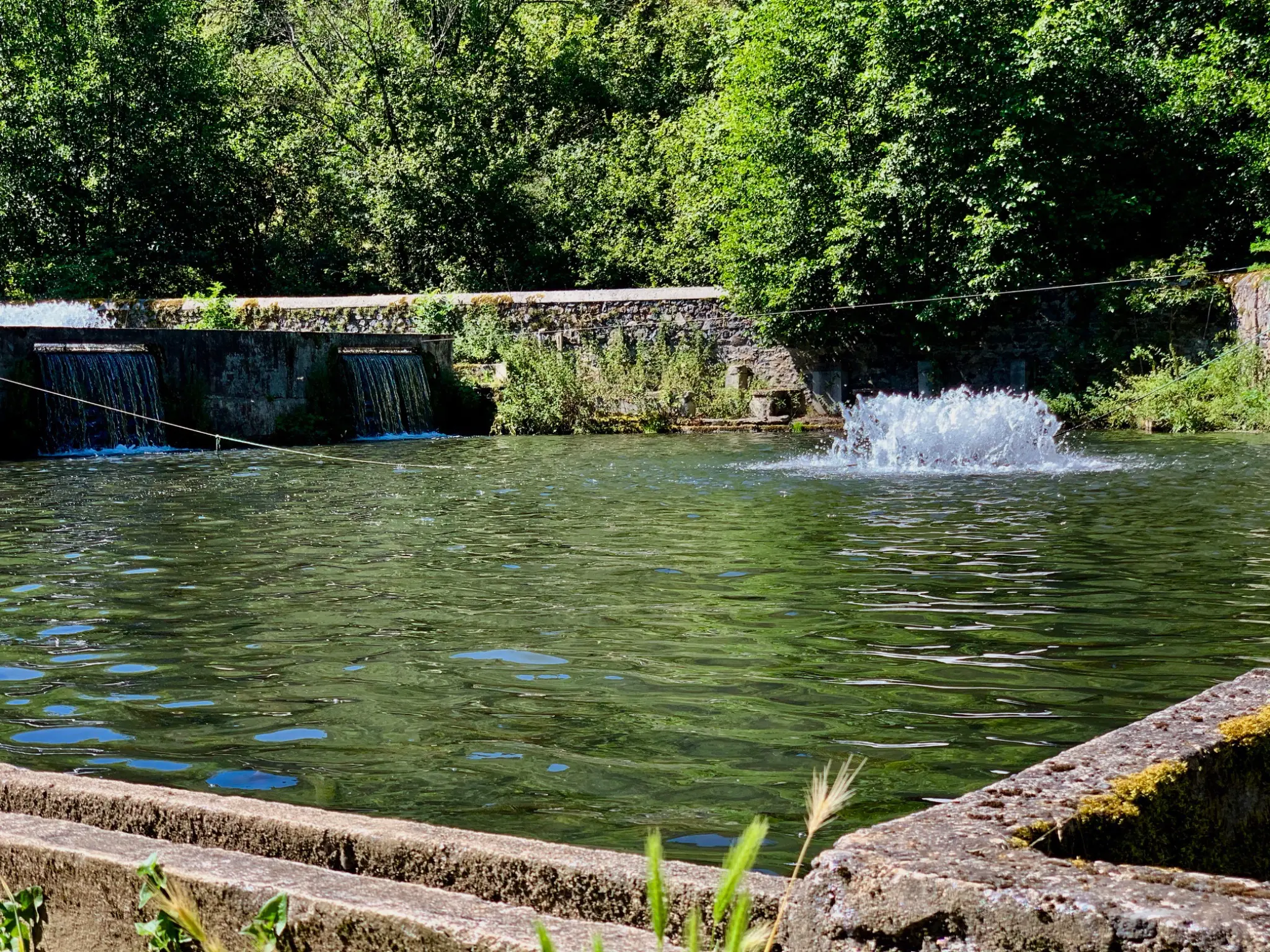 Bassin du Vourzac