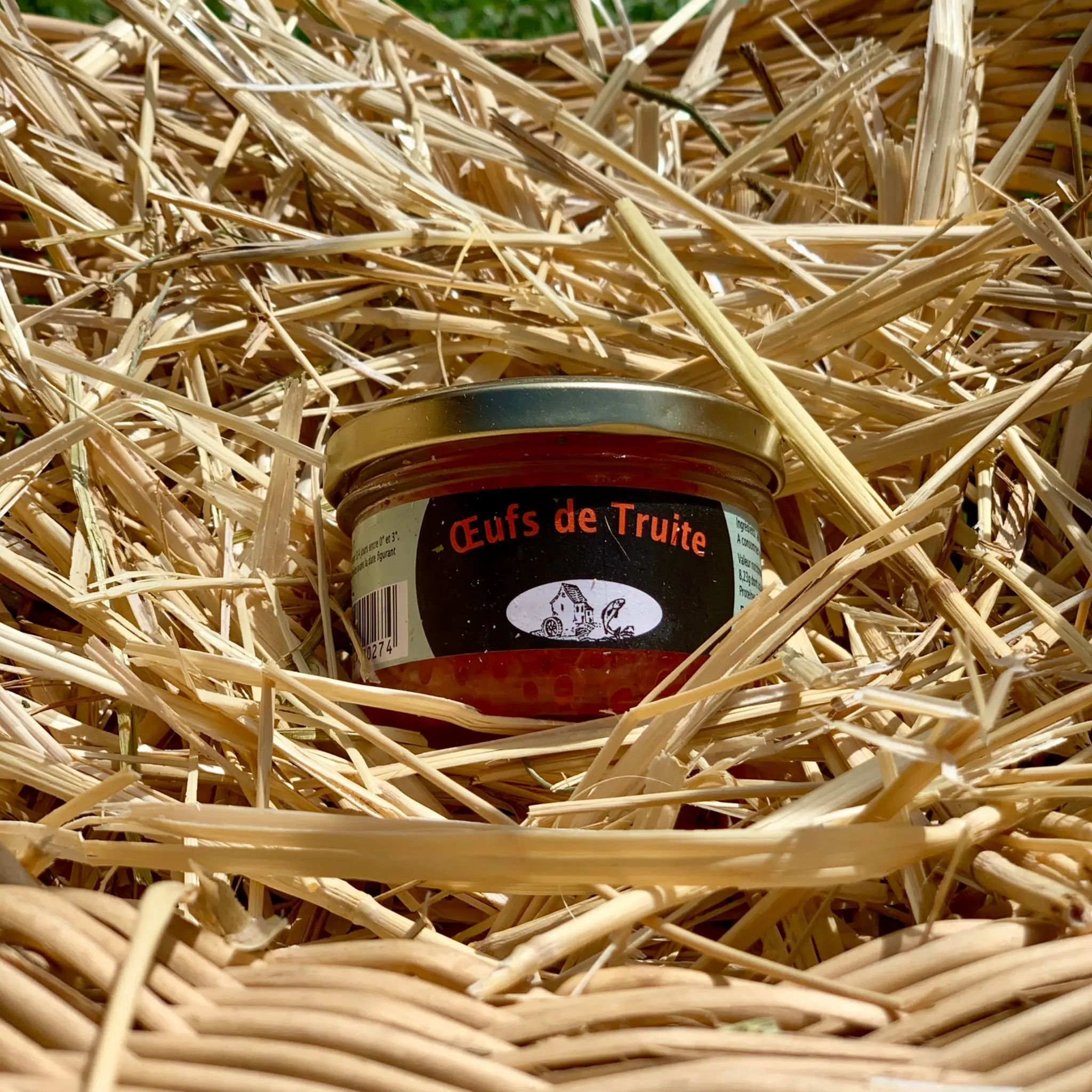 Oeufs de truite