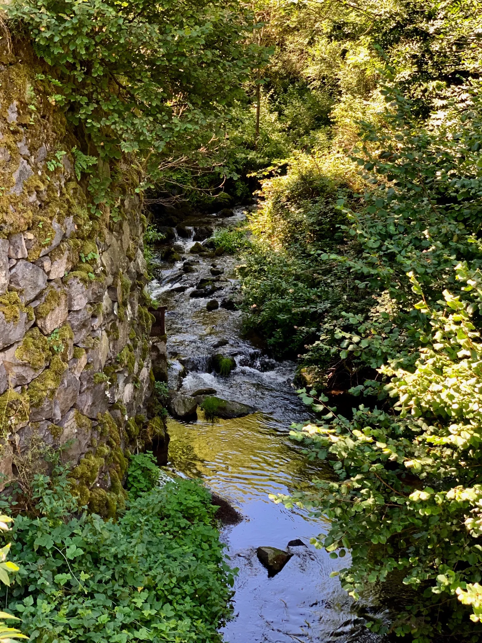 Rivière du Vourzac