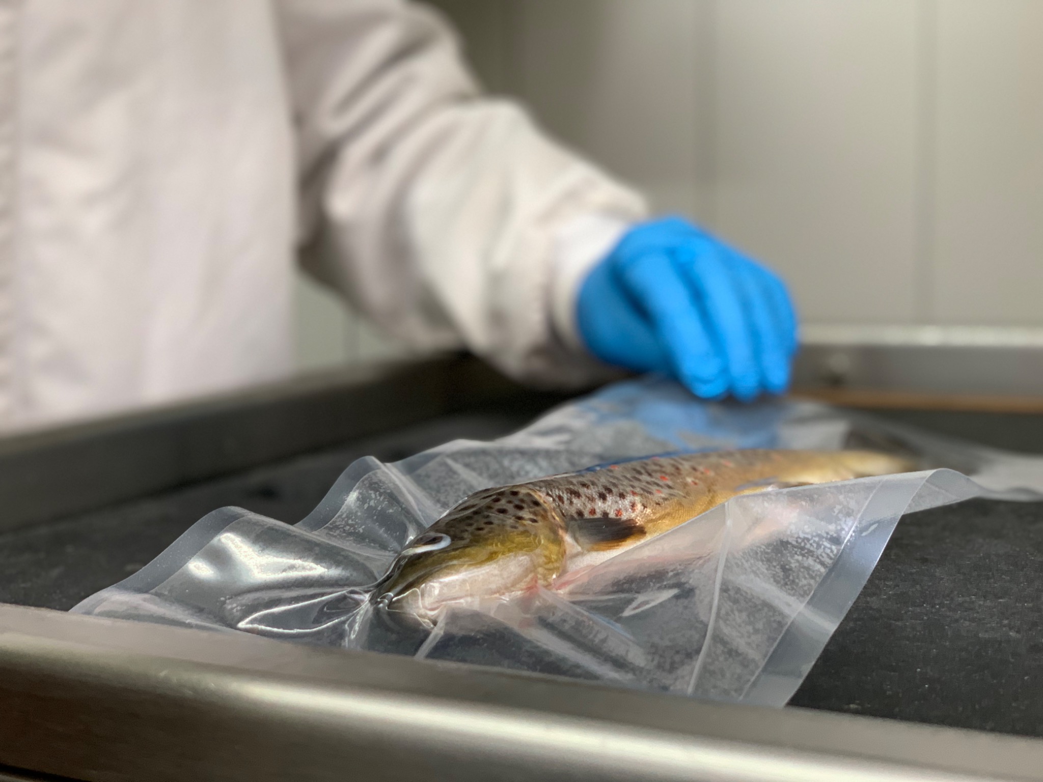 Galerie point de vente 1