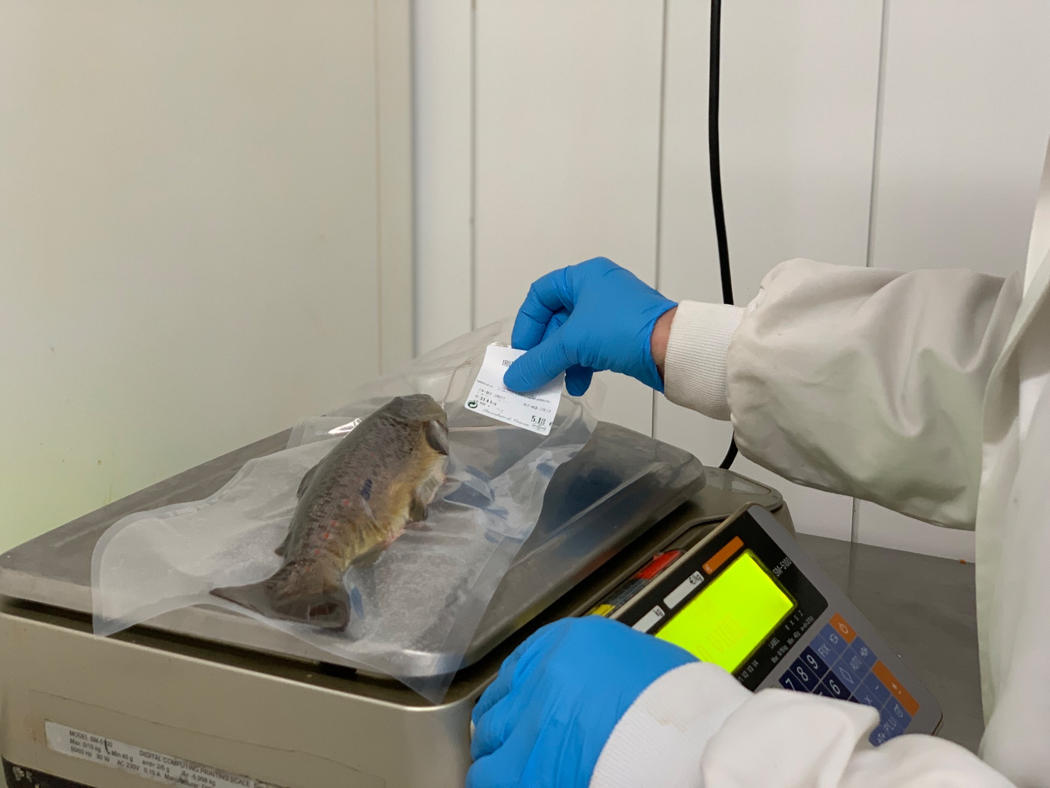 Galerie point de vente 3