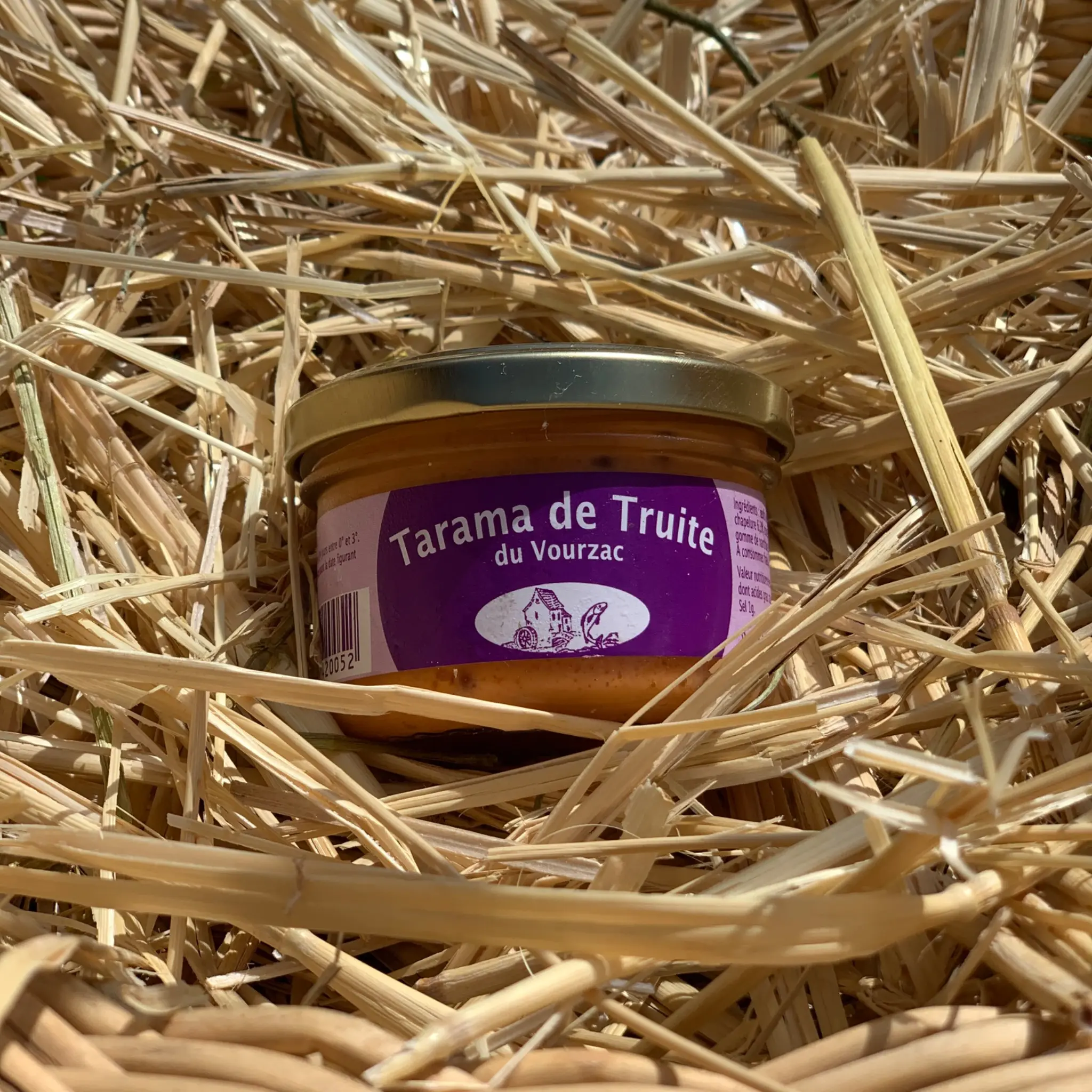 Tarama de truite